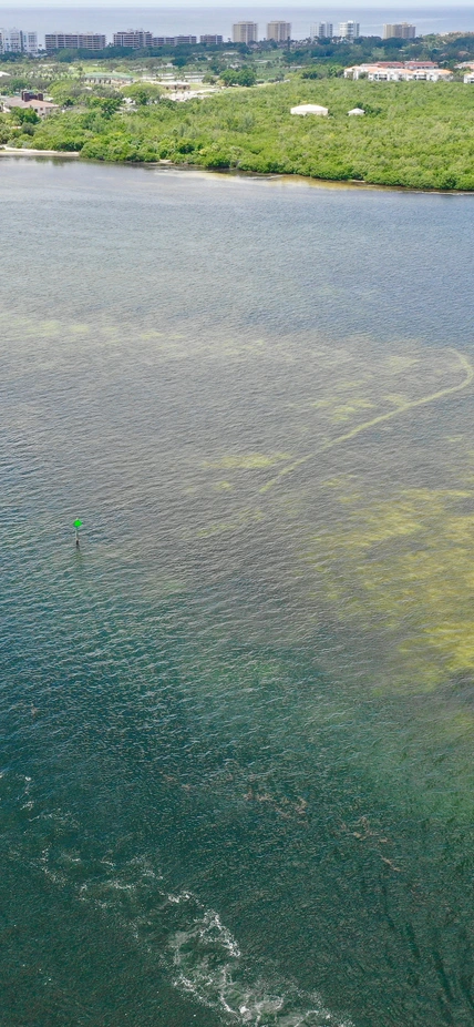 Aerial view of red tide algal bloom along Florida’s gulf coast