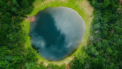 An overhead view of a body of water inside a forest