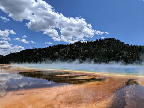 Hot spring microbial mat by Seth Cottle via Unsplash. 