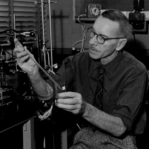 Alfred Hershey at work in his laboratory.