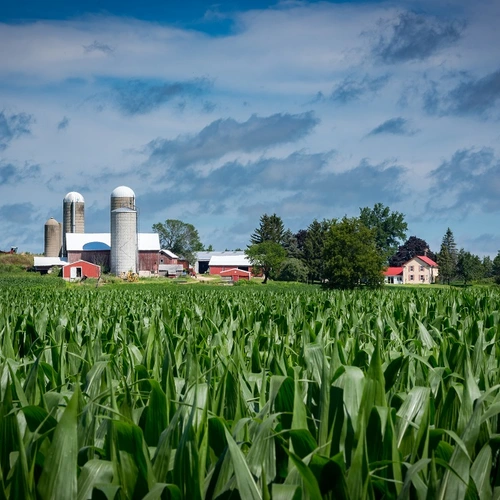 Midwest Farm